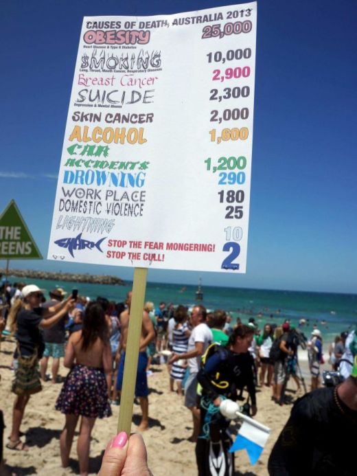 WA Shark cull protest numbers Image